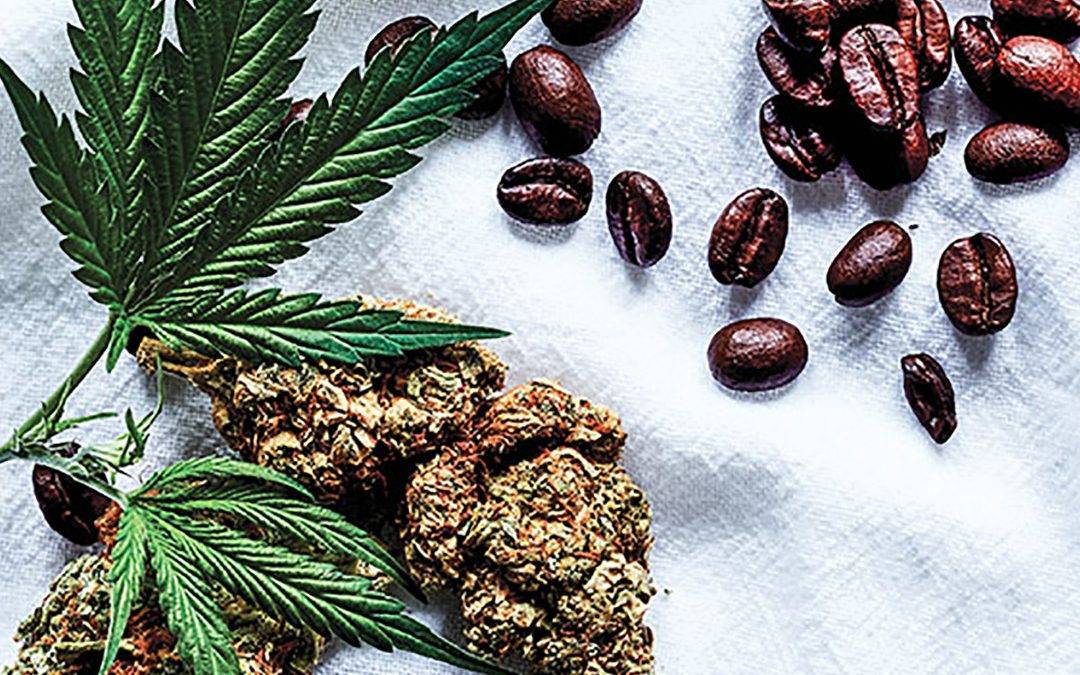 Coffee and cannabis