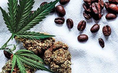 Caffeine and Cannabis Have More in Common than You Think