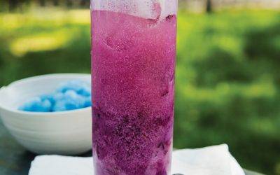 Recipe : Blueberry Lemon CBD Italian Soda
