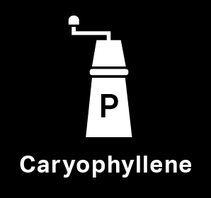 caryophyllene